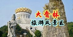 左手影院视频在线播放中国浙江-绍兴大香林旅游风景区